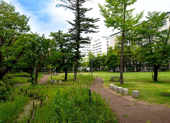 芝生広場