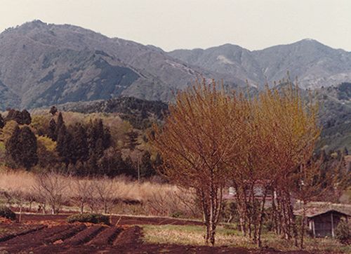 神奈川県津久井郡鳥屋村