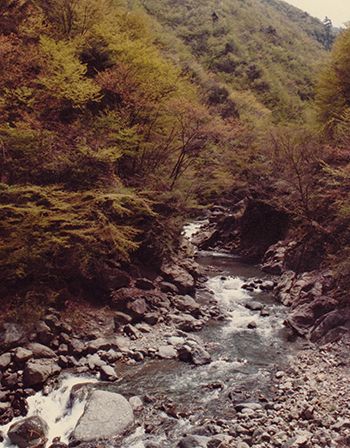 神奈川県津久井郡鳥屋村