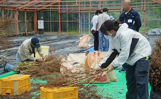 環境教育（都路小）
