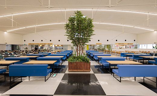 シンボルツリー