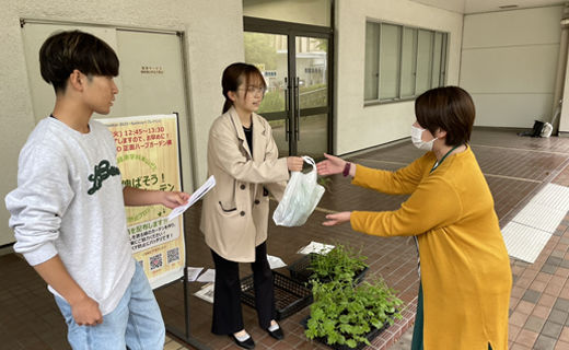 獨協大学 米山ゼミ ゴーヤ苗無料配布