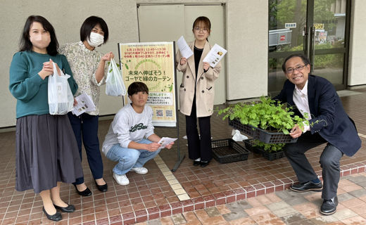 獨協大学 米山ゼミ ゴーヤ苗無料配布