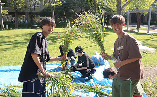 獨協大学　キャンパス内の水田で稲刈り